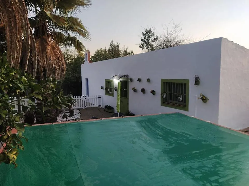 Abba Apartment Seville